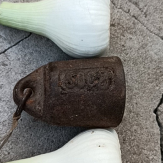 肇州县青蒜东北大蒜大量上市产地直发保质保量有需要的联系我