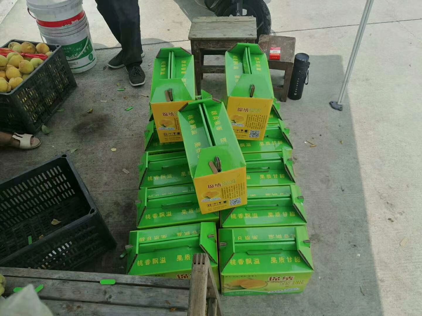  70元/框/25斤自家种植大黄桃香甜可口多汁现摘现卖黄金冠