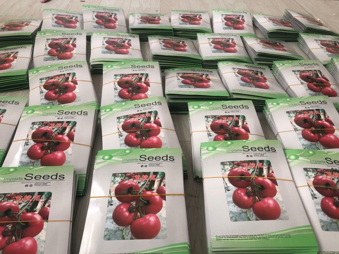 硬粉番茄苗  秋冬四季西红柿苗抗寒大果型