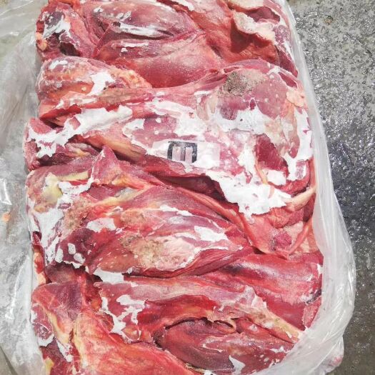 宁津县鲜马肉  蒙古冻马肉，马肉，冻马肉