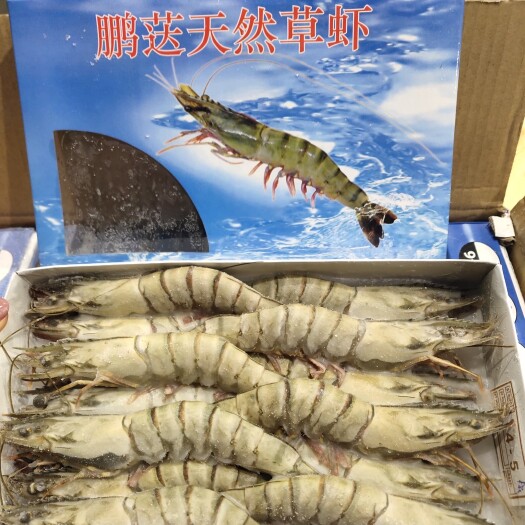 南京 黑虎虾大虾鲜活超大速冻海鲜水产特大虾类海虾虎虾斑节九节老虎虾