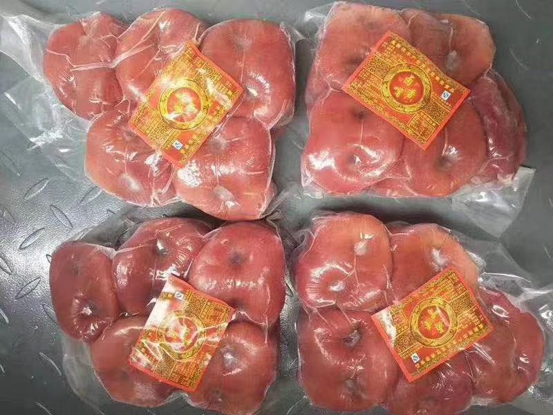 猪嘴  猪拱嘴  现货供应下单秒发一手货源价格美丽