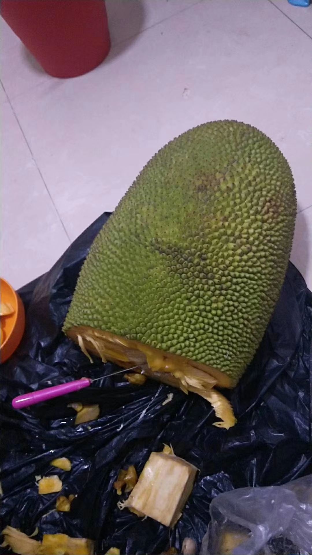  海南黄肉菠萝蜜