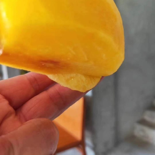 新化县无公害黄桃
