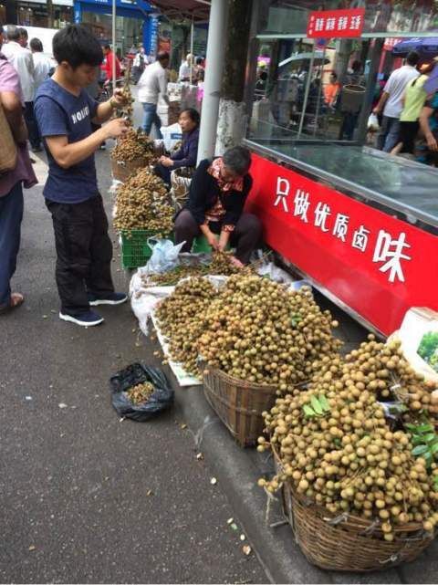 泸县 龙眼之乡的龙眼，桂圆龙眼