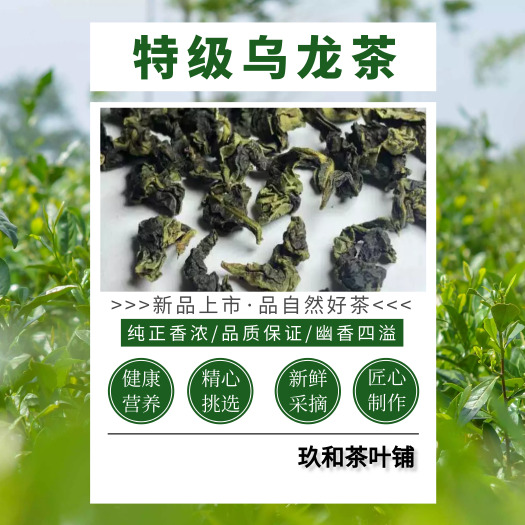 安溪县2024春茶新茶安溪清香型铁观音兰花香试喝体验小包装福建