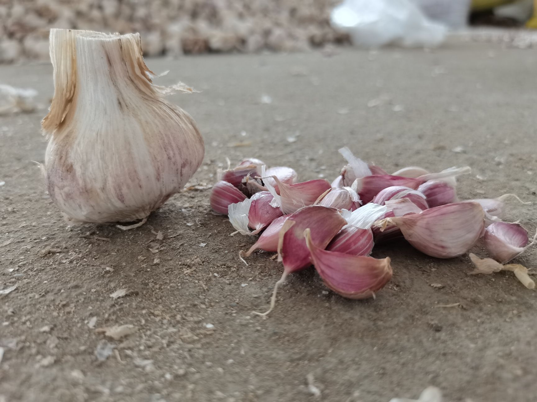 白皮蒜  红七星大蒜，独蒜种，温二早 混级统货。产地直供