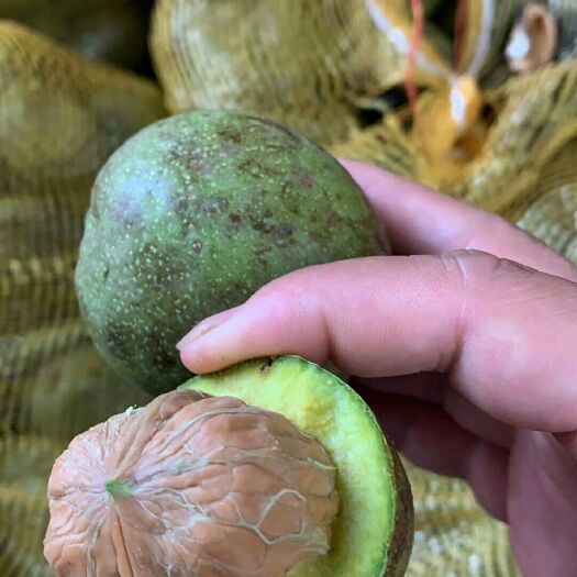 成都 新鲜核桃现货供应下单秒发  一手货源价格美丽