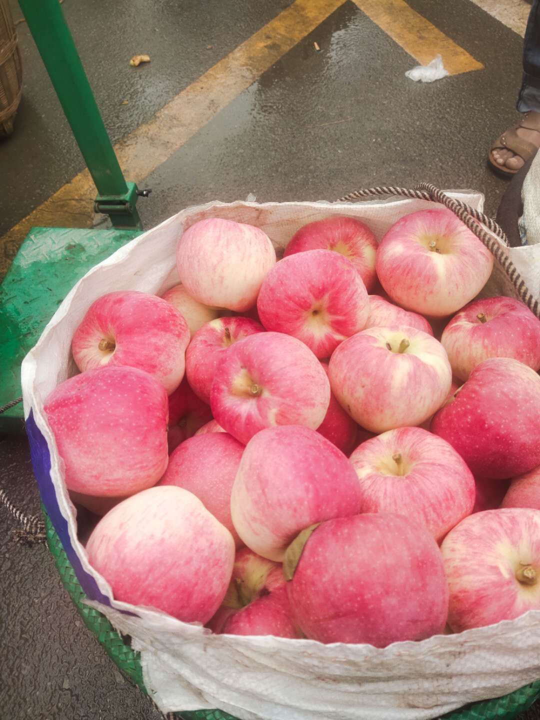  云南昭通德国红星苹果  华硕   等