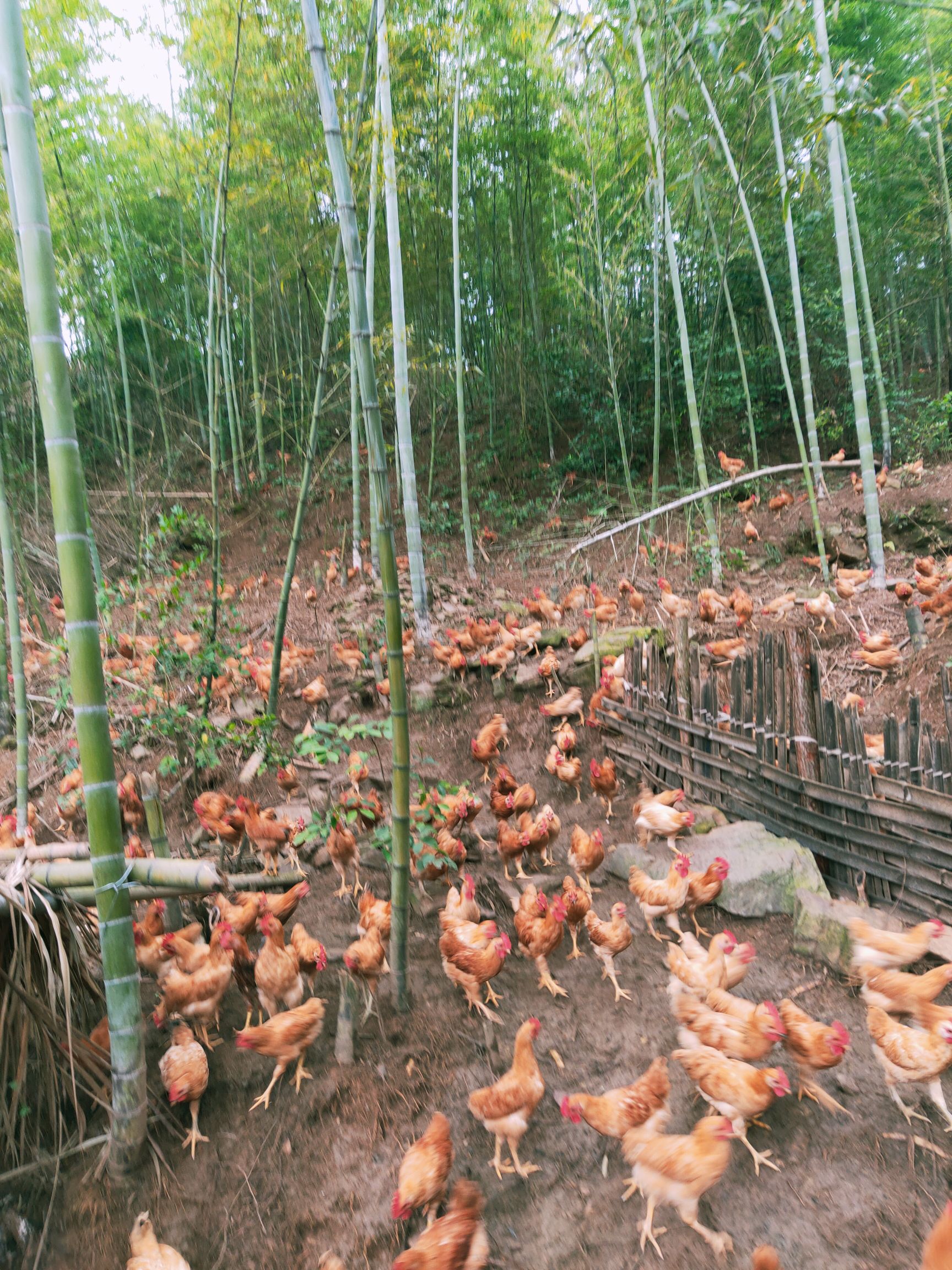 灌木林地  有诚意的朋友可以联系我，实地考察