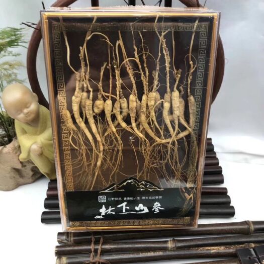 通化林下参