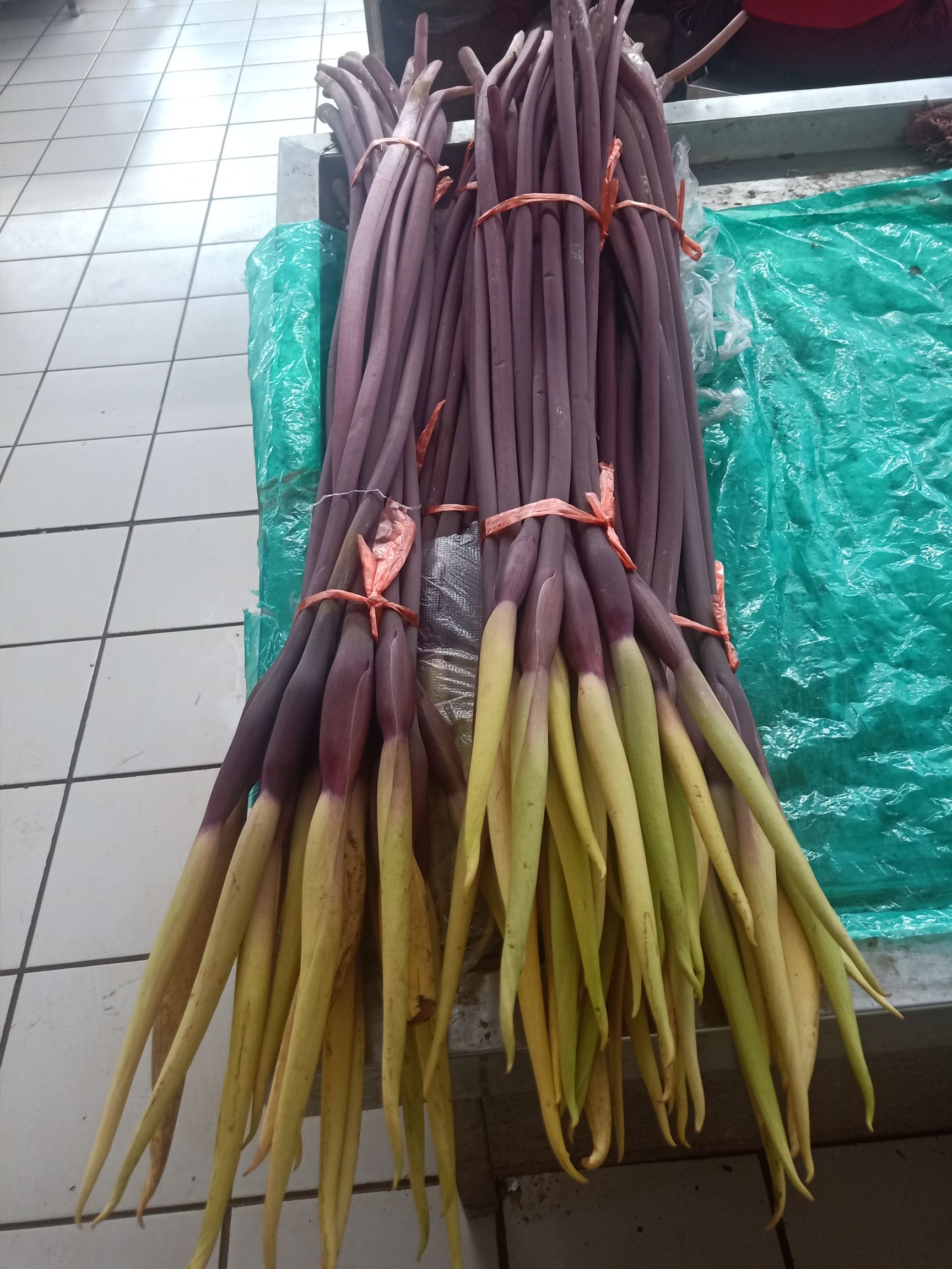 芋梗  云南普洱芋头花_鲜货_现砍发货