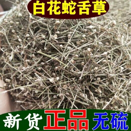 白花蛇舌草  白花舌草 吸尘干净无杂 无硫干货  实物拍摄