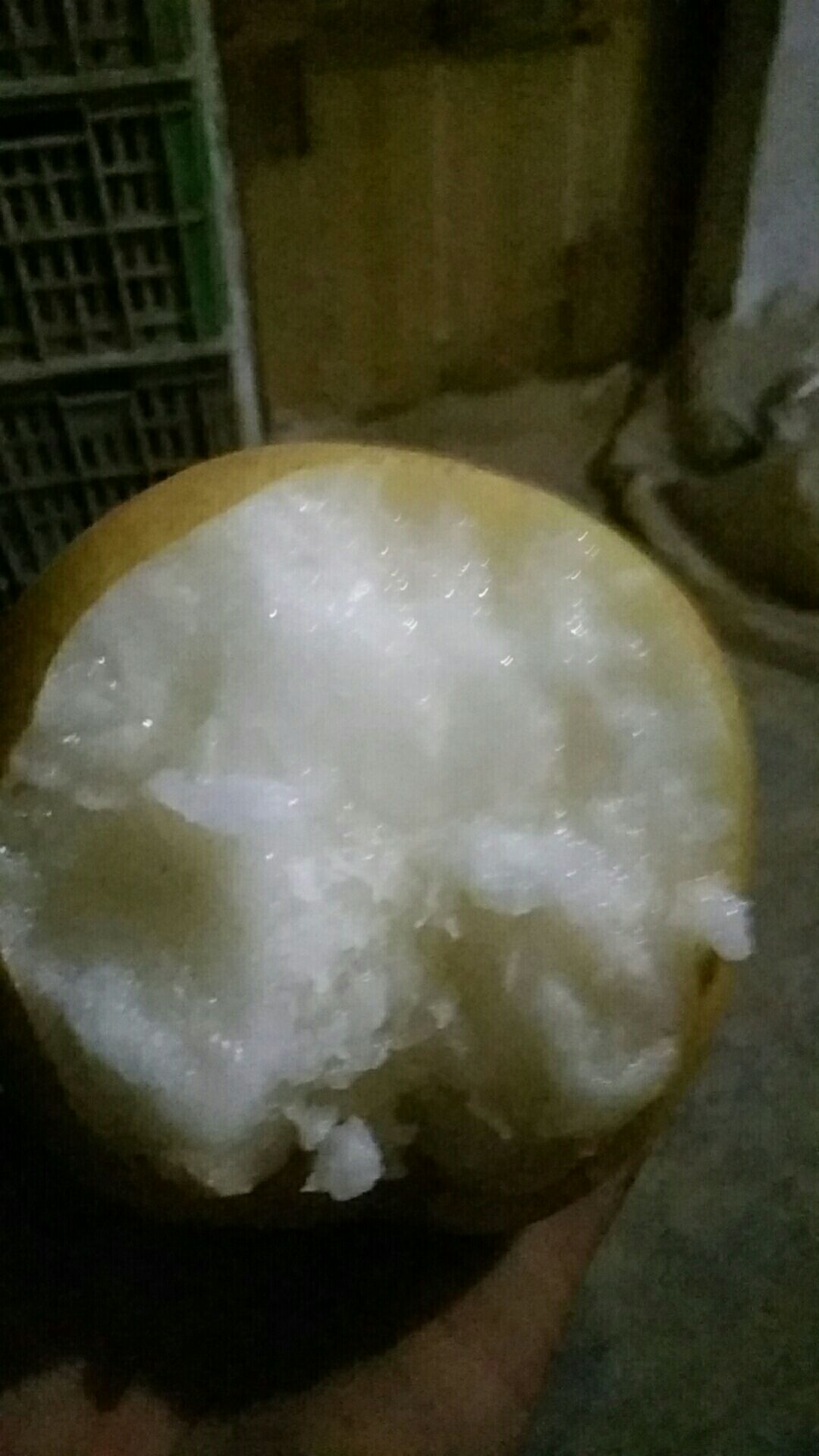  个大皮薄，甘甜可口，甜脆味美，古黄河故道特产皇冠梨，丰水梨