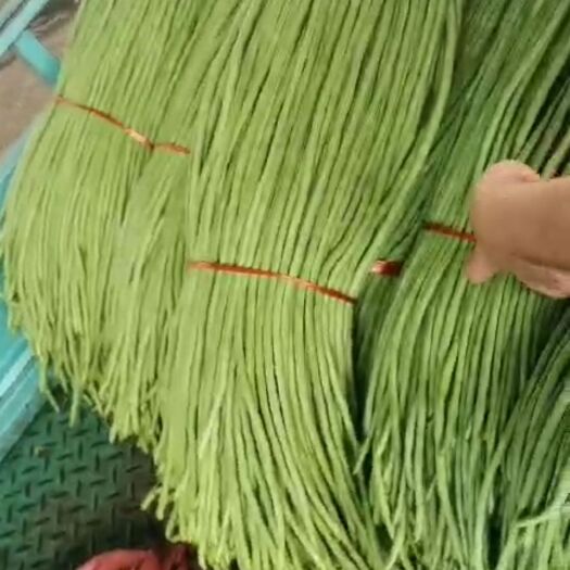 兰陵县 精品长豆角 青皮青肉70公分长度