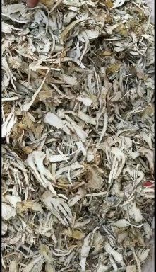  岷州特产岷县正宗农家无硫当归个子 当归片全归片