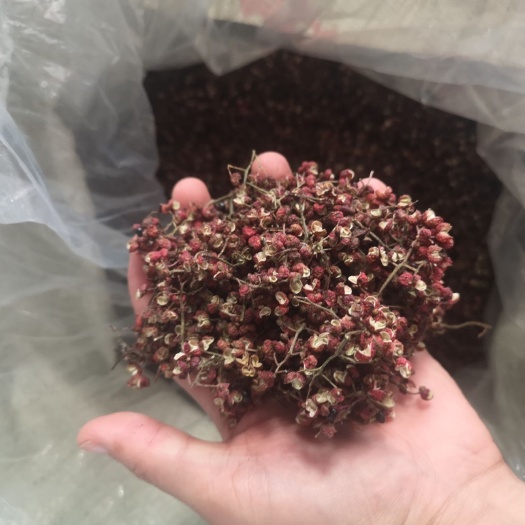 芮城县大红袍花椒 大量出售