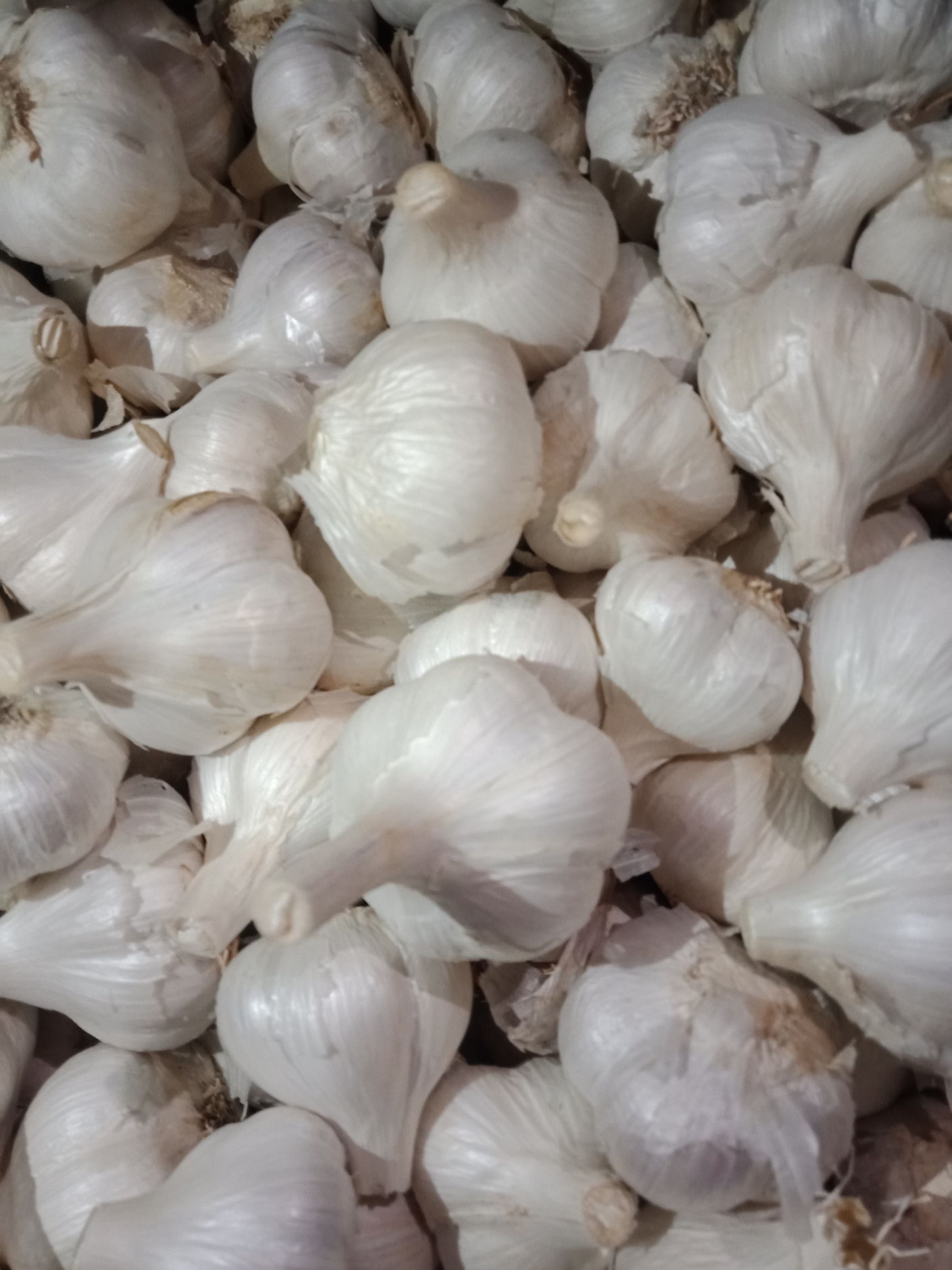 白皮蒜  永年大蒜，蒜片，蒜头，蒜瓣，蒜粉，蒜粒等