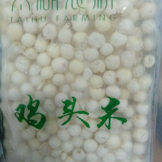 苏州鲜芡实  鲜鸡头米上市，基地直销