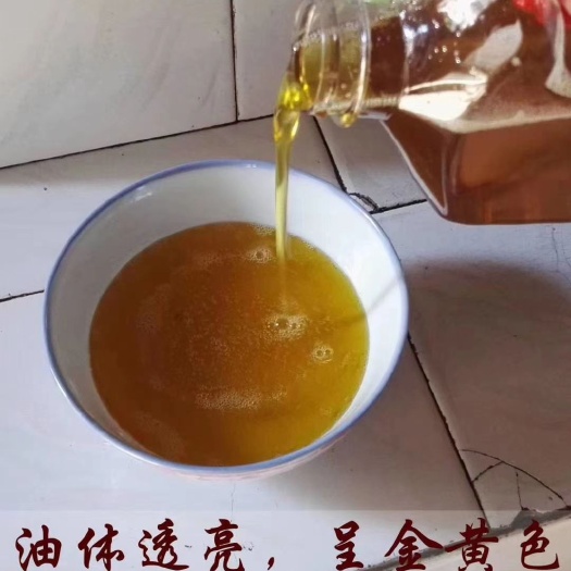 通道县高山野生茶 古侗寨高山纯正茶油