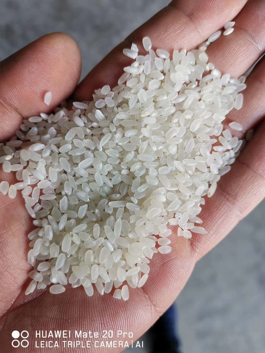  东北碎米有米香味道的碎米
