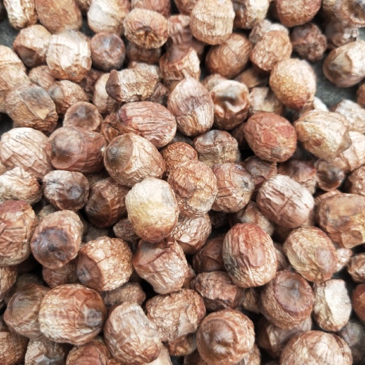 漳州 优质红莲子干，不去芯更降火