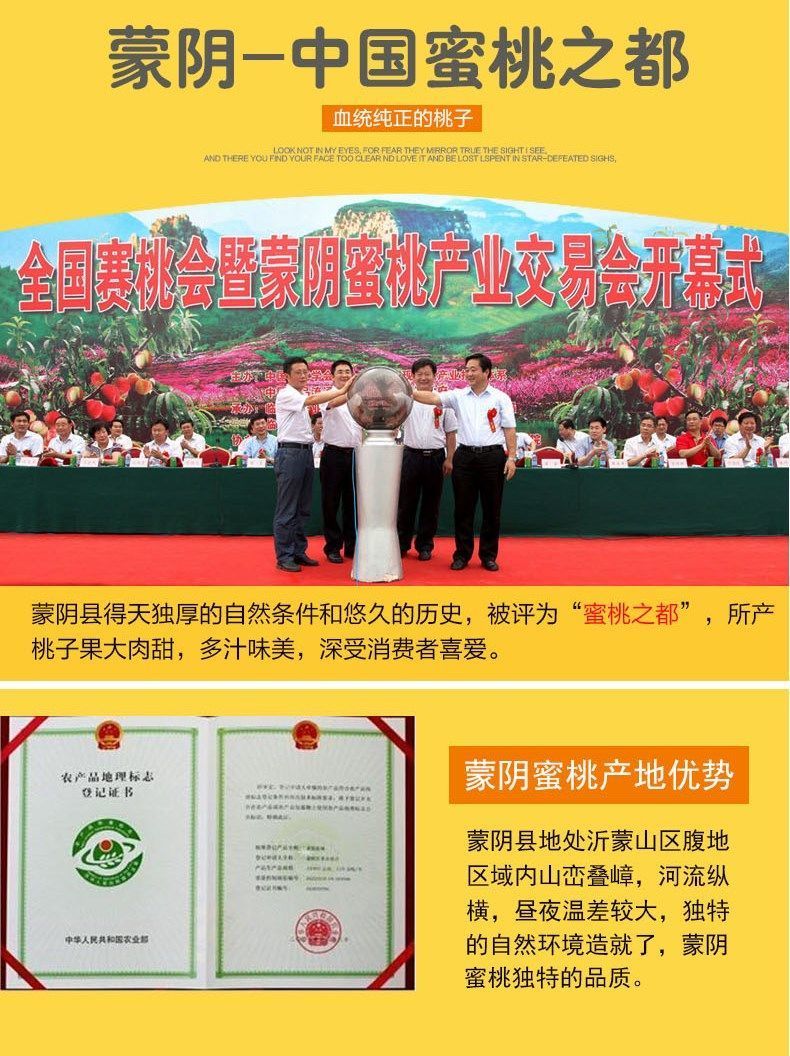  沂蒙山蜜桃奶油蟠桃白蟠桃水果桃子