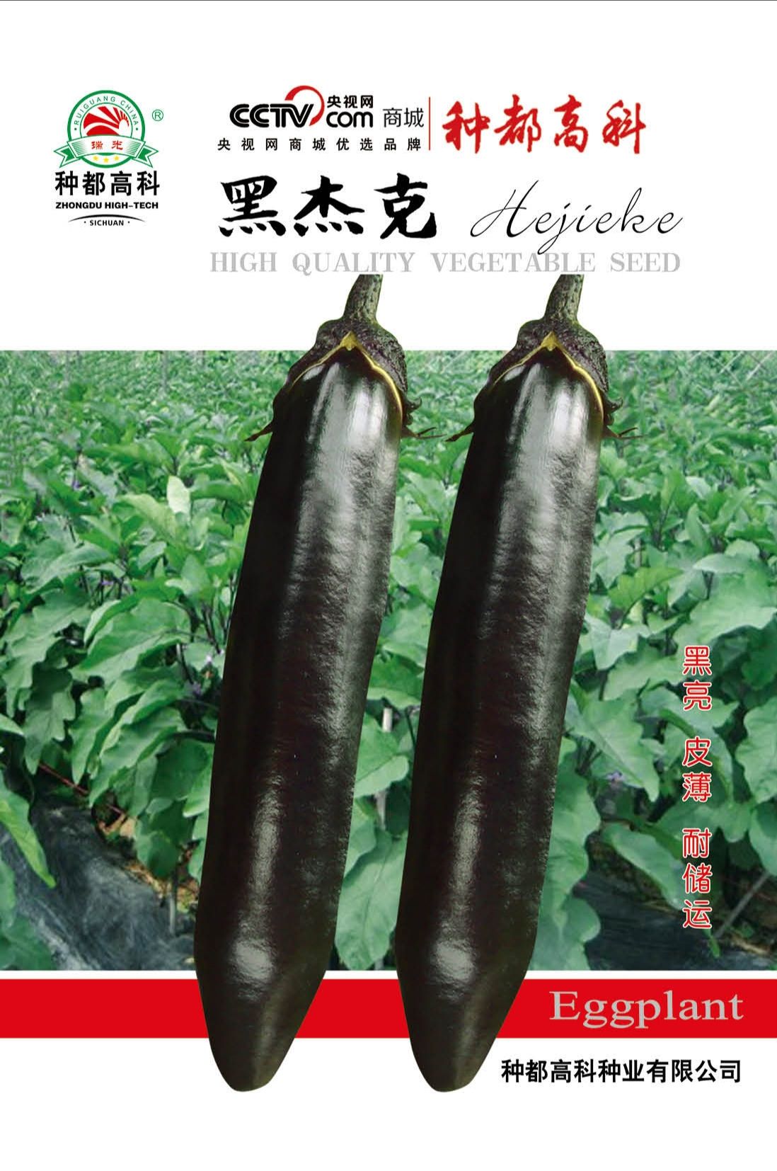 茄子嫁接苗/种都高科！