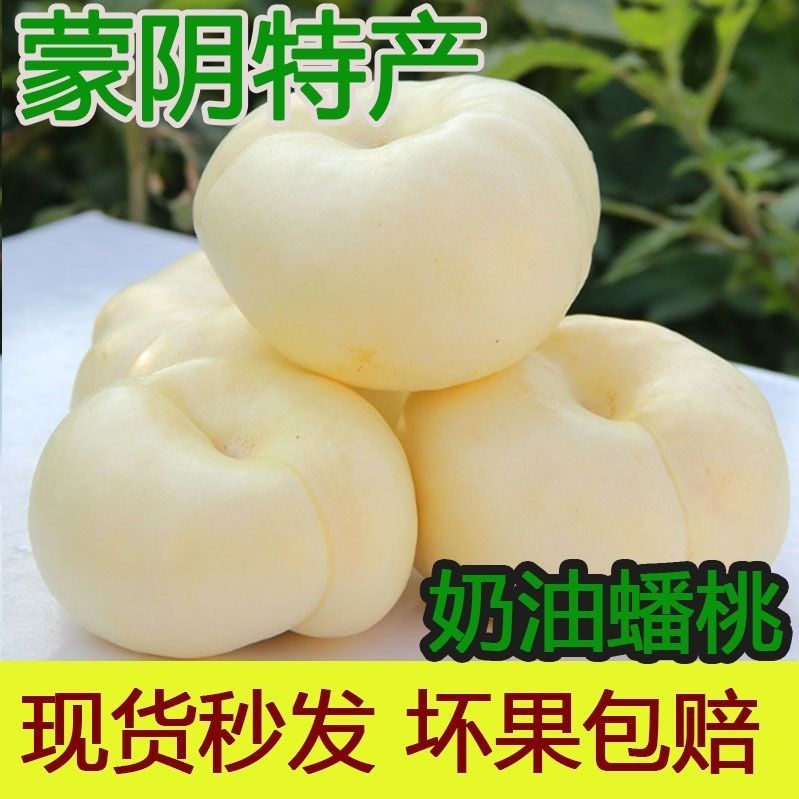  沂蒙山蜜桃奶油蟠桃白蟠桃水果桃子