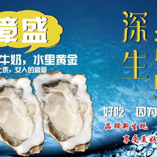 漳浦县福建生蚝 支持电商