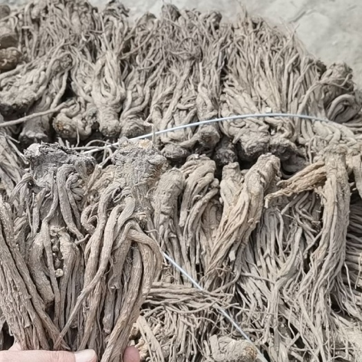 岷县 岷州特产岷县正宗农家无硫当归个子 当归片全归片