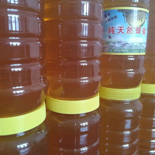 枣庄 ，强身壮体，增强抵抗力的正宗土蜂蜜
