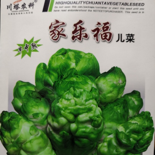 武汉早中熟家乐福儿菜种子