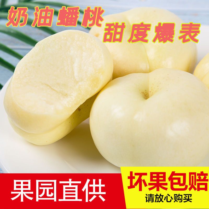  沂蒙山蜜桃奶油蟠桃白蟠桃水果桃子