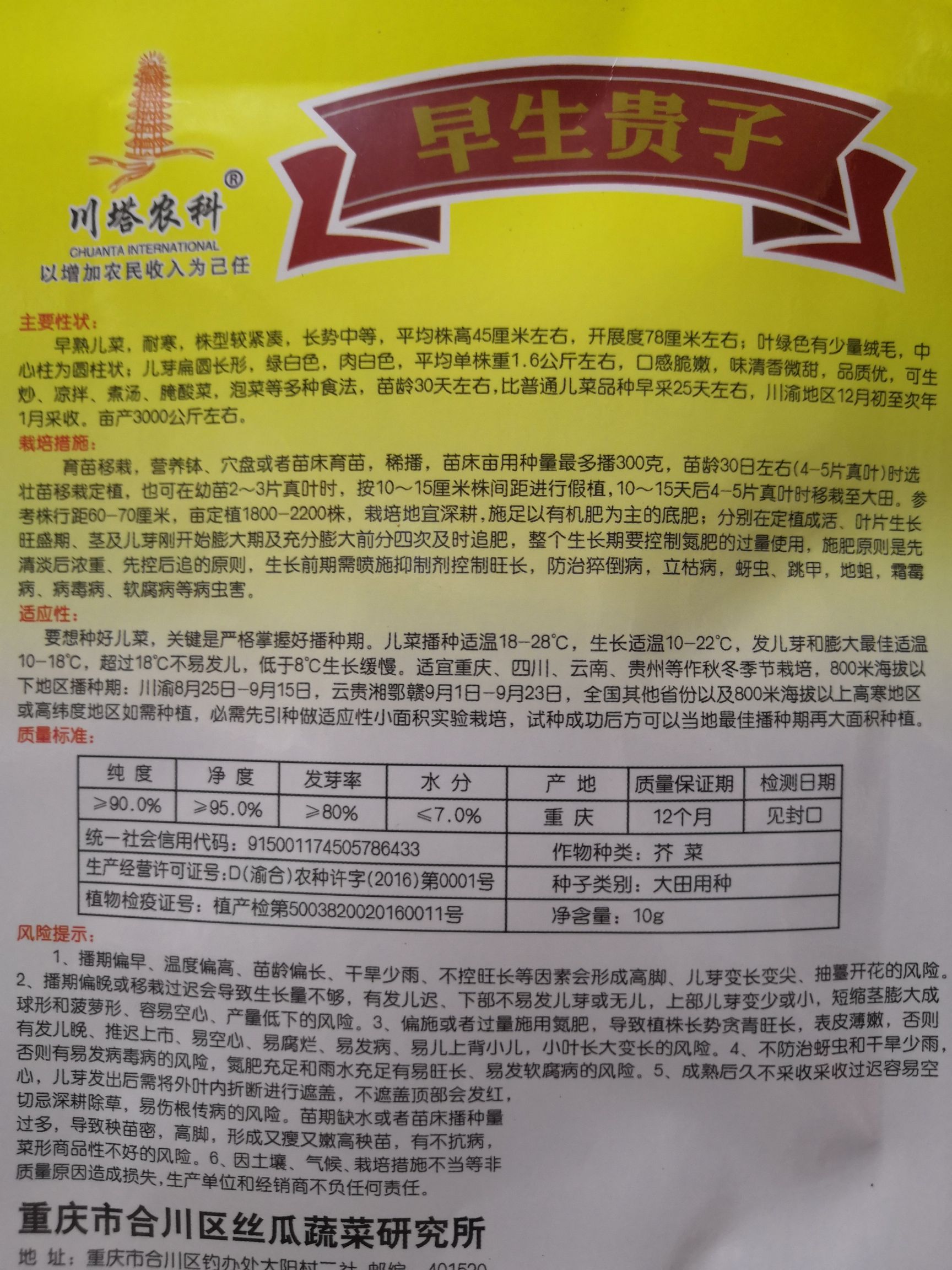 特早熟脆甜儿菜种子比普通儿菜早25天采收