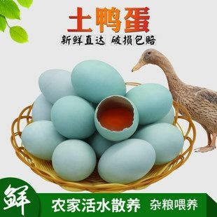新沂市 当天下-沂河边土鸭蛋