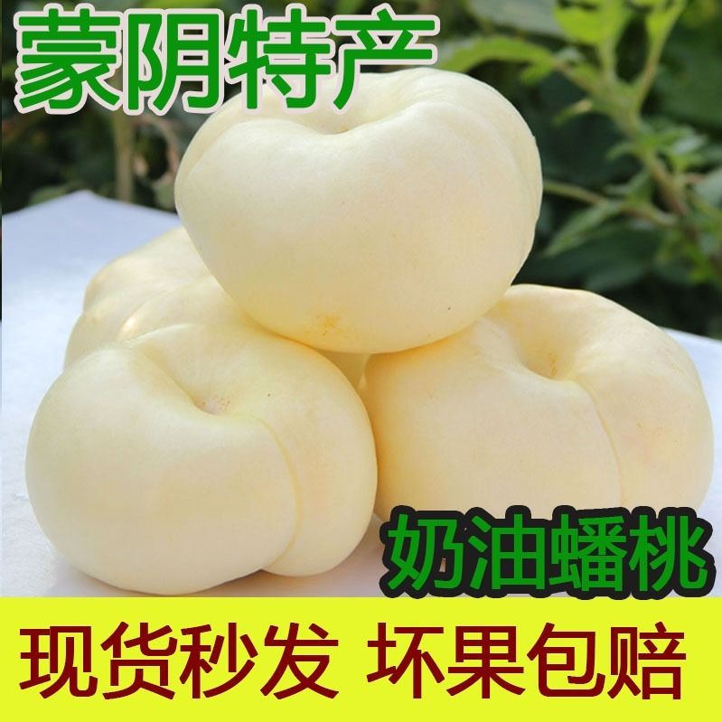  沂蒙山蜜桃奶油蟠桃白蟠桃水果桃子
