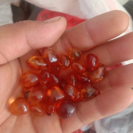 枣阳市 出售各种桃胶，水洗颗粒大颗粒，价格不等，需要的话可以洽谈
