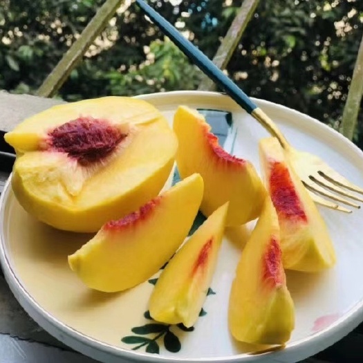  蒙阴锦绣黄桃