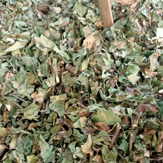  驳骨丹 中药材小驳骨 小接骨 驳骨草 驳骨丹 接骨草