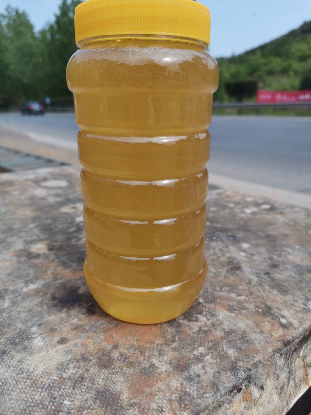  东北新鲜椴树蜜，刚刚打出来