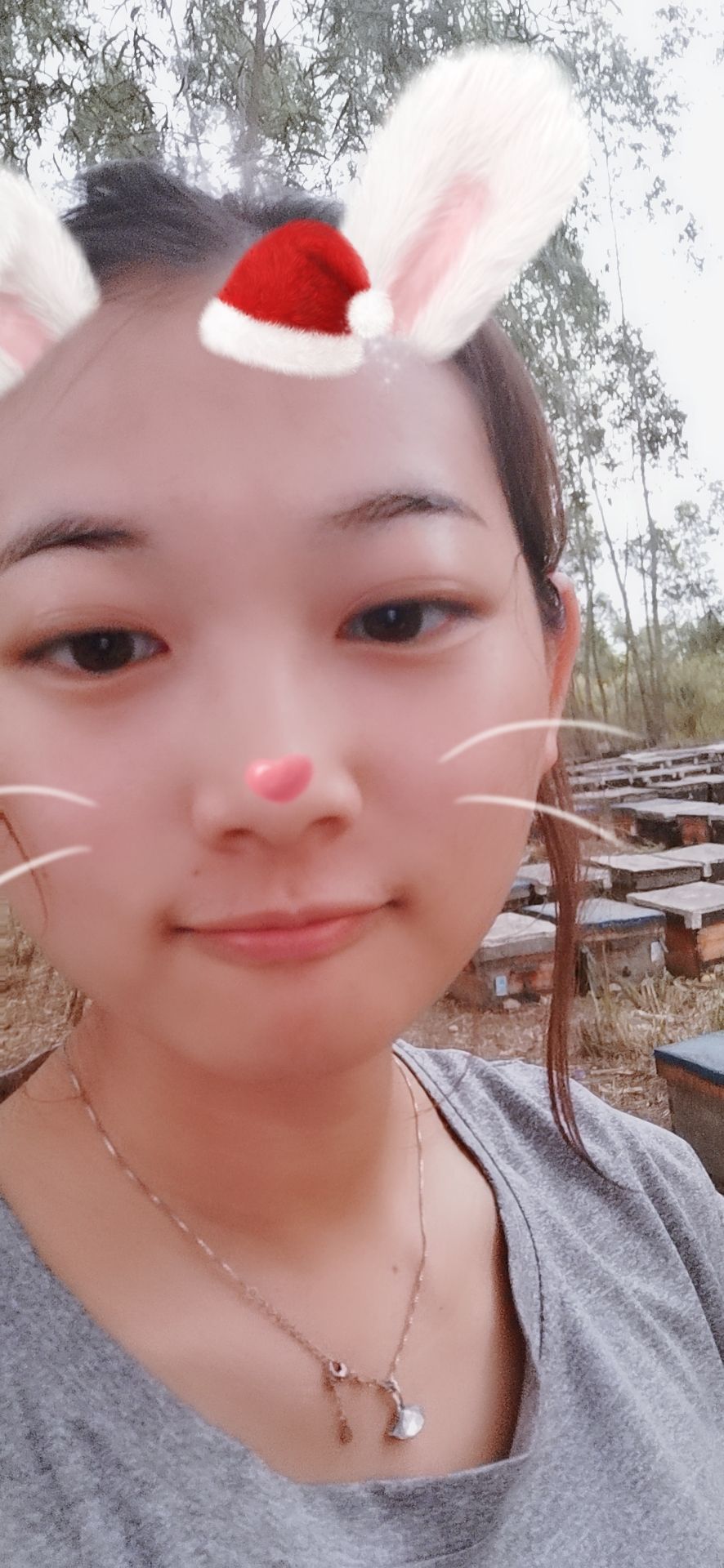  东北新鲜椴树蜜，刚刚打出来