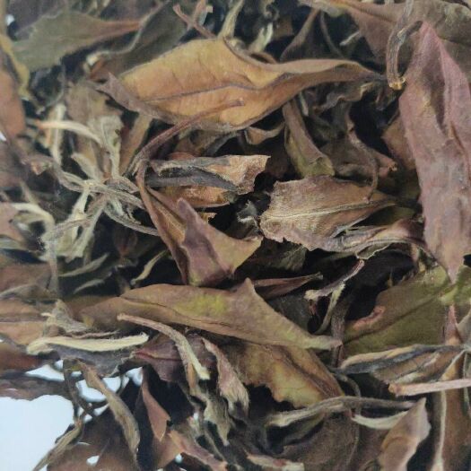 福鼎市 福鼎高山云雾白茶 陈年寿眉