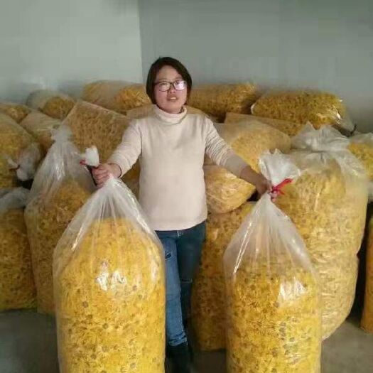 绩溪县散装金丝皇菊批发安徽黄山解暑去火菊花茶自种自销冷库现货