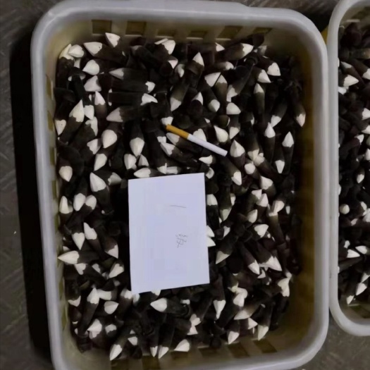 汶上县鸡枞菌 黑皮鸡枞鲜品金耳鲜品专业批发商