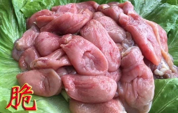 湛江石斑鱼肚