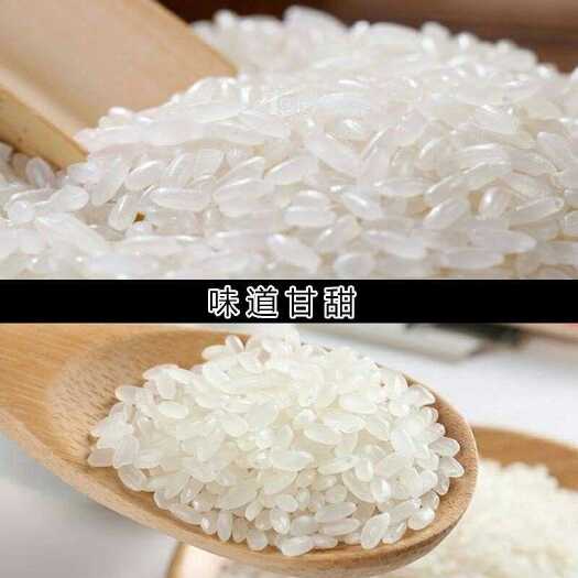 五常市东北大米 黑龙江各种米都有