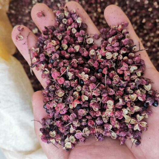 天水红花椒  油椒，干花椒