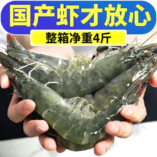 青岛大虾整箱4斤 鲜活速冻海鲜特大冷冻基围虾鲜虾海虾对虾青虾