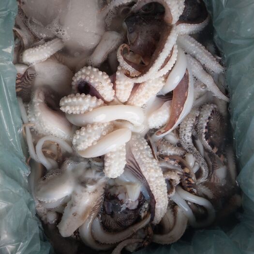 广州鱿鱼须 目鱼头，目鱼须，墨魚头，墨鱼须，酒店排档必备良品